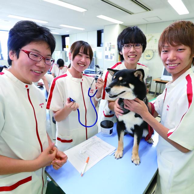 日本動物専門学校 ♪オープンキャンパス☆1