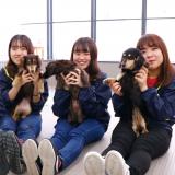 6月・7月の体験入学(トリマー/動物看護/ドッグトレーナー)の詳細