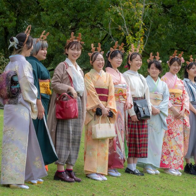 奈良きもの芸術専門学校 【高知】全国説明会（予約者限定！）4