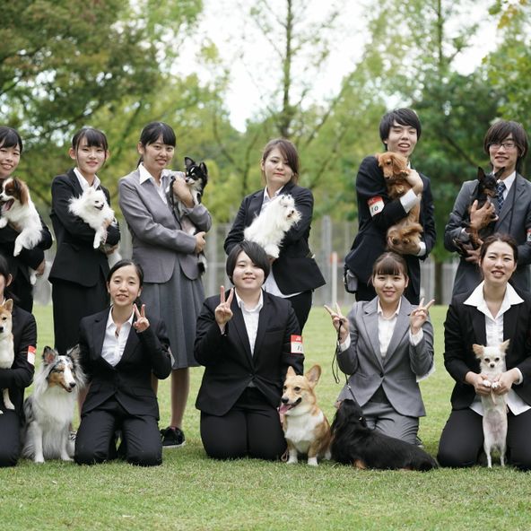 ｙｉｃ京都ペット総合専門学校 資料請求 願書請求 学校案内 スタディサプリ 進路