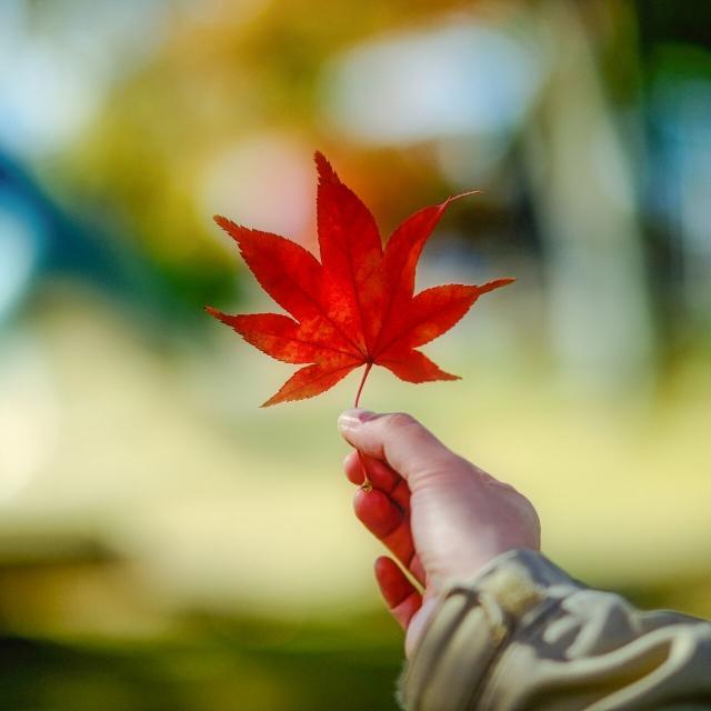 東京環境工科専門学校 『自然を守るレンジャーというしごと』体験授業を同時開催！1