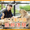 ＴＣＡ東京ＥＣＯ動物海洋専門学校 ECO動物園飼育体験