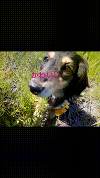 OCカメラサムネイル画像