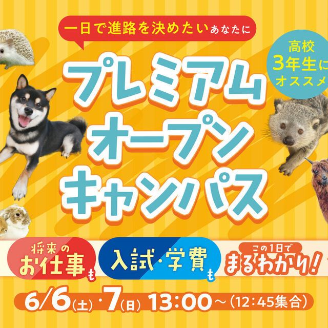 大阪ＥＣＯ動物海洋専門学校 入試対策＆体験で進路決定！【プレミアムオープンキャンパス】1