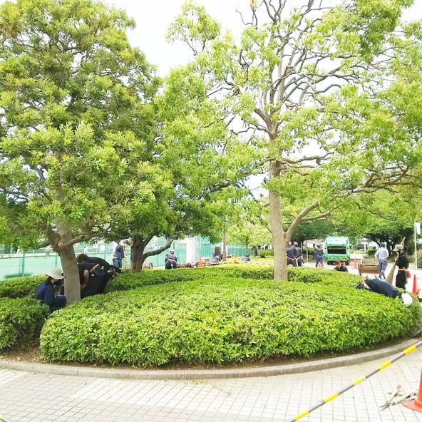 日本ガーデンデザイン専門学校 資料請求 願書請求 学校案内 スタディサプリ 進路