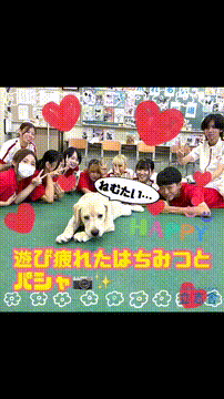 OCカメラサムネイル画像