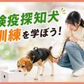 ＴＣＡ東京ＥＣＯ動物海洋専門学校 検疫探知犬訓練を学ぼう！