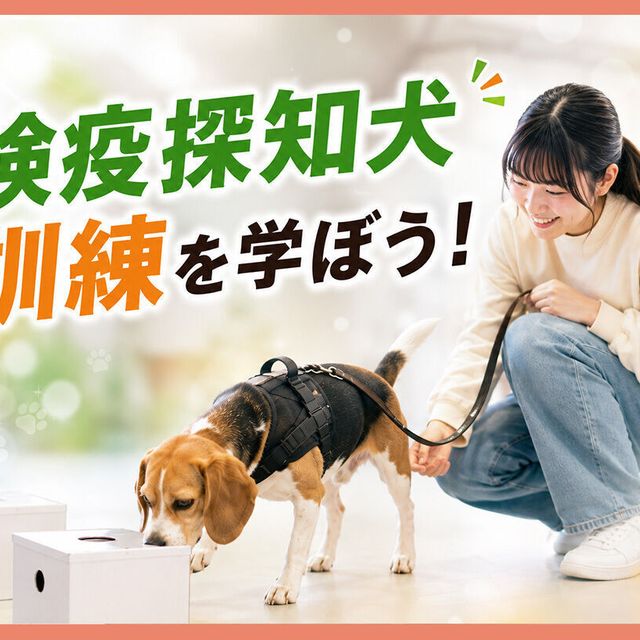 ＴＣＡ東京ＥＣＯ動物海洋専門学校 検疫探知犬訓練を学ぼう！1