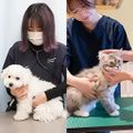 専門学校　福岡ビジョナリーアーツ 【看護】動物たちの健康チェック