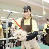 全学科体験の詳細