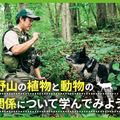 ＴＣＡ東京ＥＣＯ動物海洋専門学校 野山の植物と動物の関係について学んでみよう