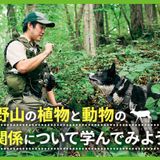 野山の植物と動物の関係について学んでみようの詳細
