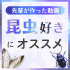日本自然環境専門学校 【すぐ見れる動画】昆虫好きのあなたへ！学生制作の昆虫実習動画1