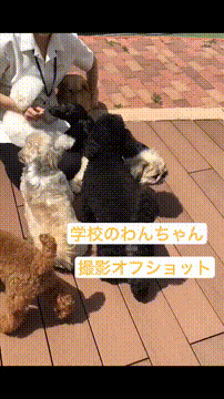 OCカメラサムネイル画像