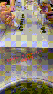 OCカメラサムネイル画像