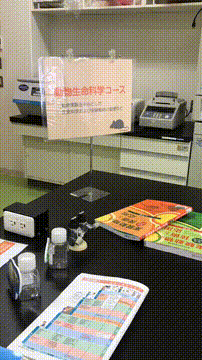 OCカメラサムネイル画像