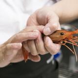 すし・和食の魅力を体感!本格調理体験の詳細