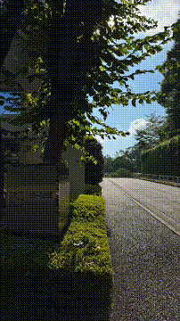 OCカメラサムネイル画像