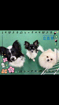 OCカメラサムネイル画像