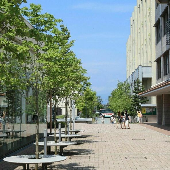 仙台白百合女子大学 資料請求 願書請求 学校案内 スタディサプリ 進路