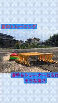 OCカメラサムネイル画像