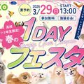 【高校１・２年生限定】春の1DAYフェスタ！／名古屋ＥＣＯ動物海洋専門学校