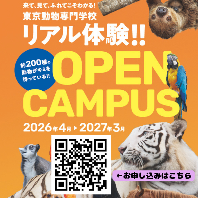 東京動物専門学校 体験度MAX！　動物とふれあう　どうぶつリアル体験ツアー1