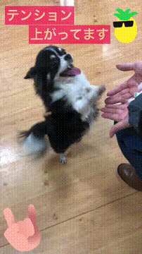 OCカメラサムネイル画像