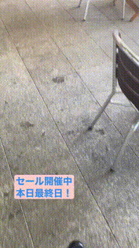 OCカメラサムネイル画像