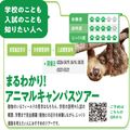 動物の仕事が分かる！　まるわかり！アニマルキャンパスツアー／東京動物専門学校