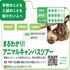 東京動物専門学校 動物の仕事が分かる！　まるわかり！アニマルキャンパスツアー1