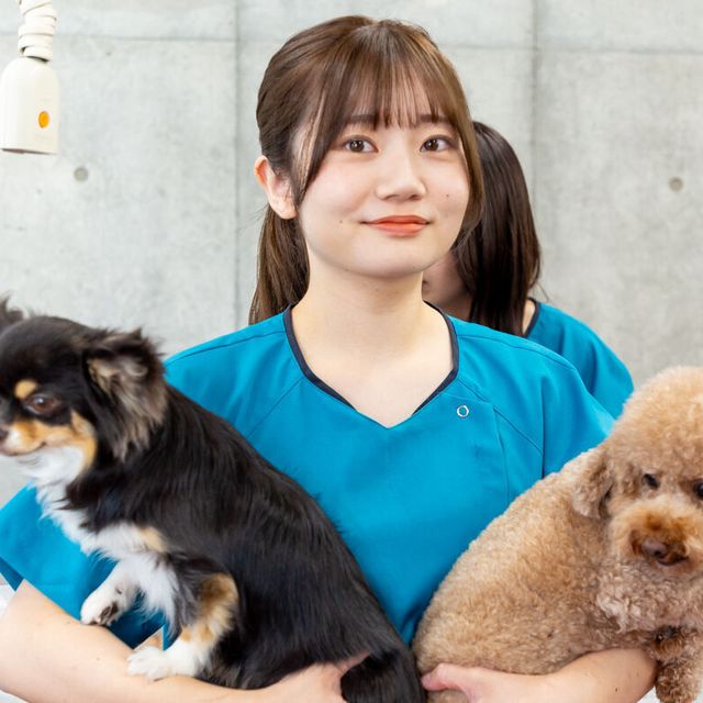 東京ブレーメン動物専門学校 高３生＋社会人対象 特別オーキャン！1