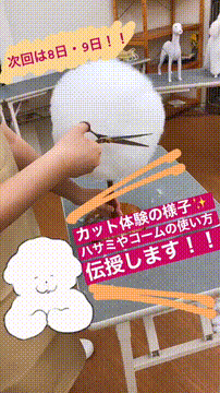 OCカメラサムネイル画像