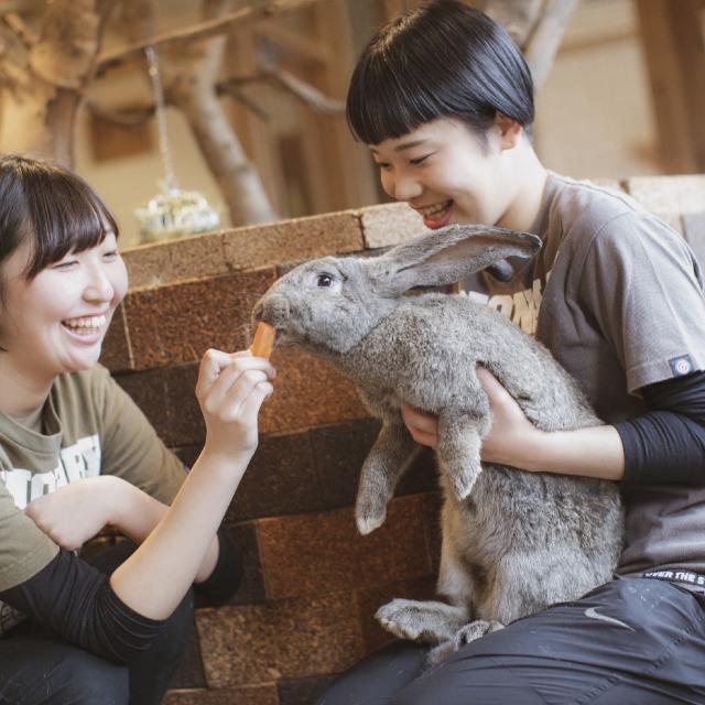 専門学校 福岡ビジョナリーアーツ 【ペット】Vaふれあい動物園1