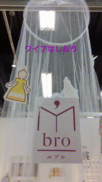 OCカメラサムネイル画像