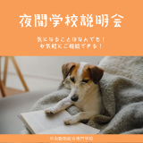 学校や会社帰りに気軽に参加！短時間の夜間説明会の詳細
