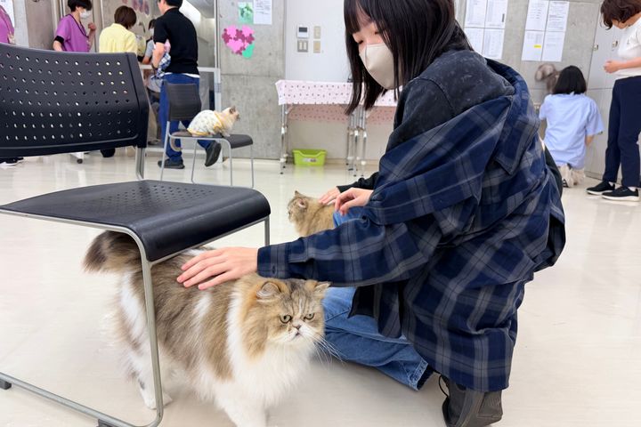 サブ画像