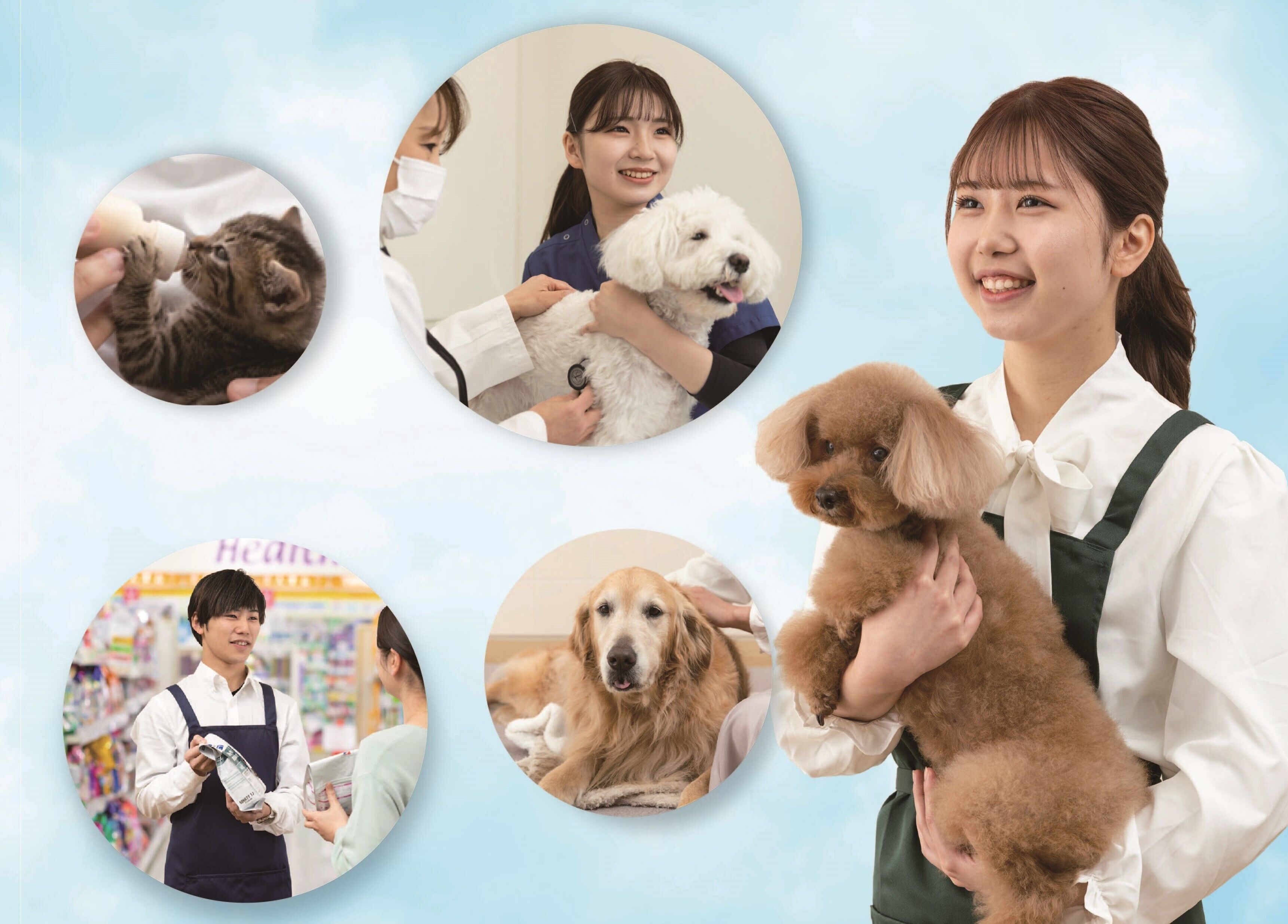 動物看護専門職as2020年度 全12冊セット 動物看護専門職as2020年度 全12冊セット - メルカリ 動物看護専門職as2020