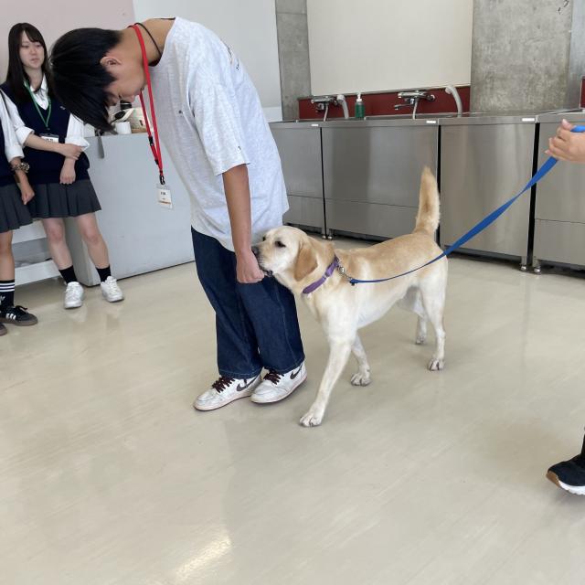 専門学校　ちば愛犬動物フラワー学園 【ドッグトレーナー】ゲーム感覚で訓練♪1