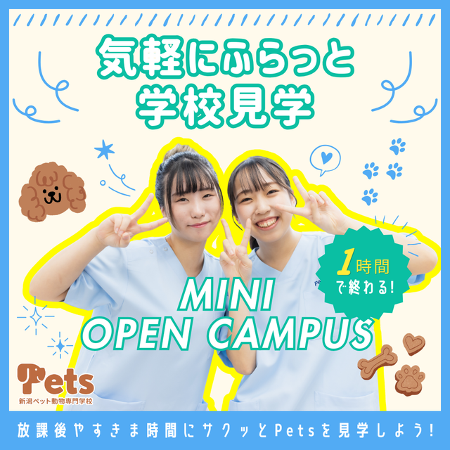 新潟ペット動物専門学校 【忙しい方におすすめ！】気軽にふらっと1時間見学♪1