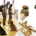 専門学校　福岡ビジョナリーアーツ 【ペット・看護】動物看護師×ドッグトレーナー