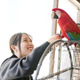 【お仕事体験DAY】動物園飼育員のお仕事を体験しよう！の詳細