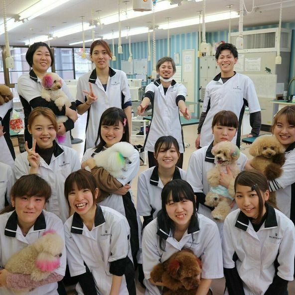 東北愛犬専門学校 資料請求 願書請求 学校案内 スタディサプリ 進路