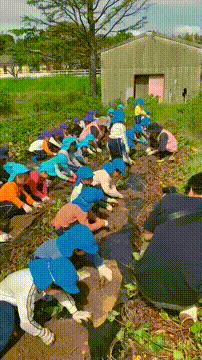 OCカメラサムネイル画像