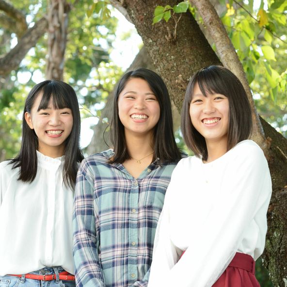 浜松学院大学 資料請求 願書請求 学校案内 スタディサプリ 進路