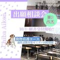 専門学校　ちば愛犬動物フラワー学園 【出願相談会】適性試験対策セミナー同時開催