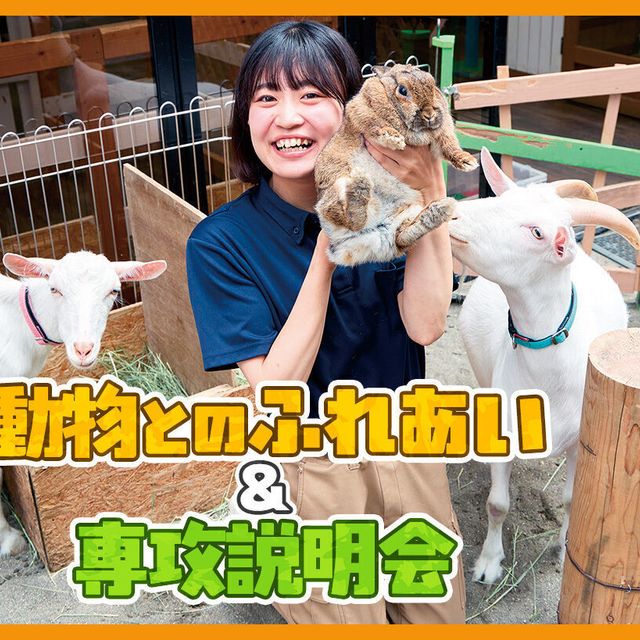 ＴＣＡ東京ＥＣＯ動物海洋専門学校 専攻説明会＆動物のふれあい体験1
