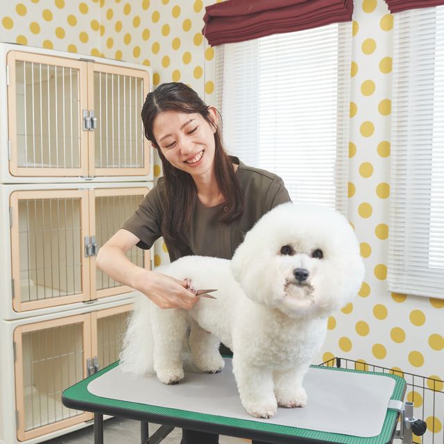 専門学校岡山ビジネスカレッジ メディカルトリマー学科｜トリミングも看護もフードも学べる！1
