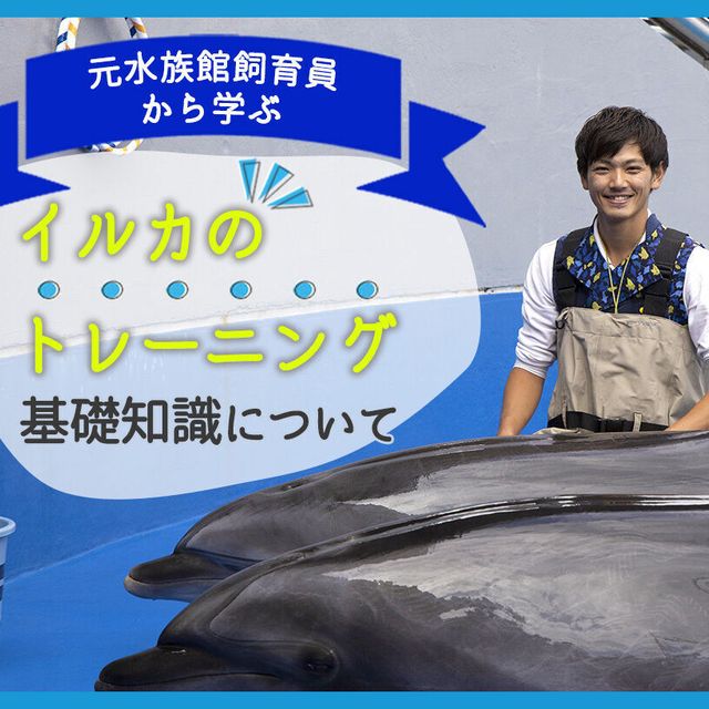 ＴＣＡ東京ＥＣＯ動物海洋専門学校 元水族館飼育員から学ぶ！トレーニングの基礎知識1