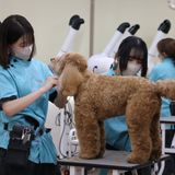 美容体験の詳細